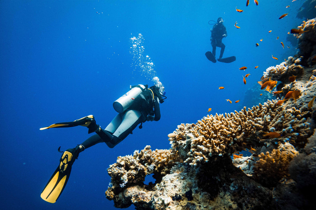 A Scuba Diver’s Guide to Avoiding Common Equipment Mistakes