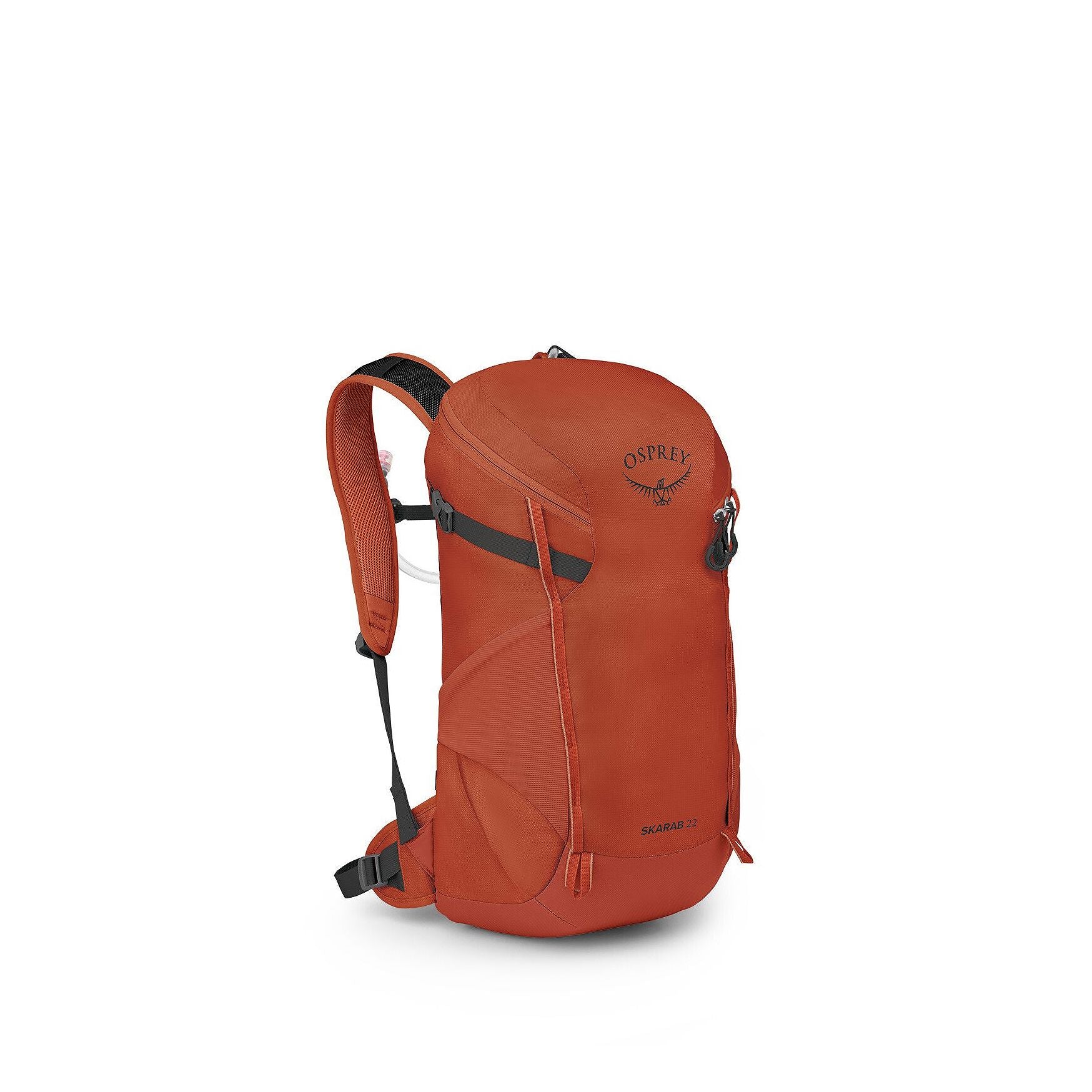 Osprey skarab 22l best sale